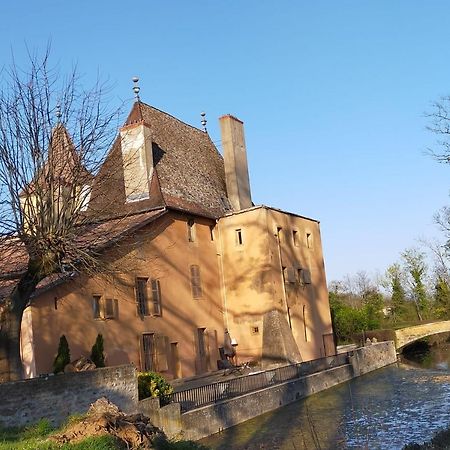 Chateau De La Venerie Denice Bagian luar foto