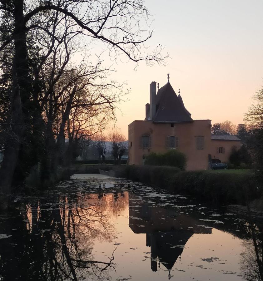 Chateau De La Venerie Denice Bagian luar foto