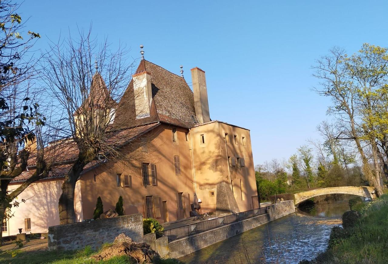 Chateau De La Venerie Denice Bagian luar foto