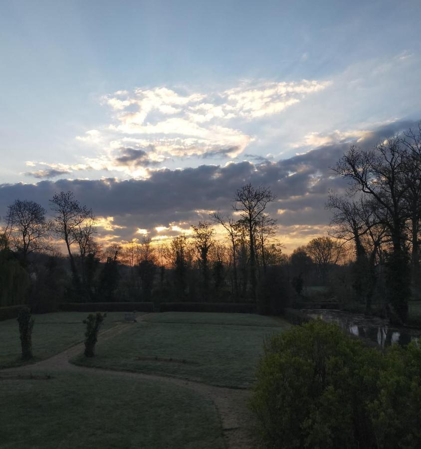 Chateau De La Venerie Denice Bagian luar foto