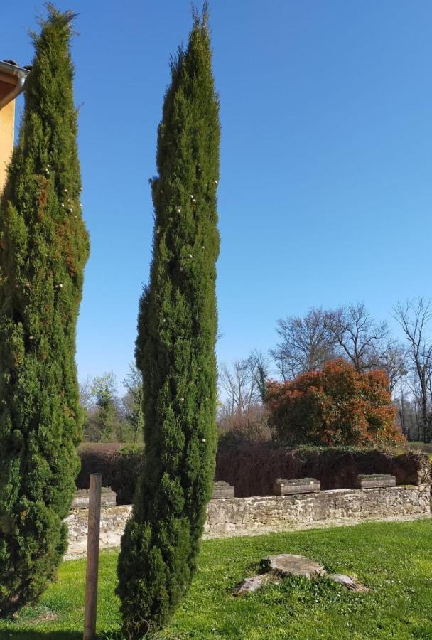 Chateau De La Venerie Denice Bagian luar foto