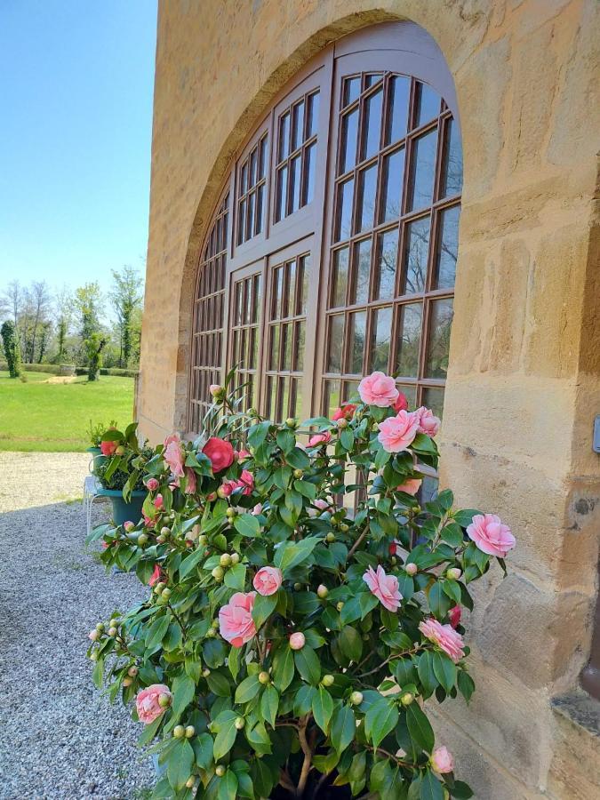 Chateau De La Venerie Denice Bagian luar foto