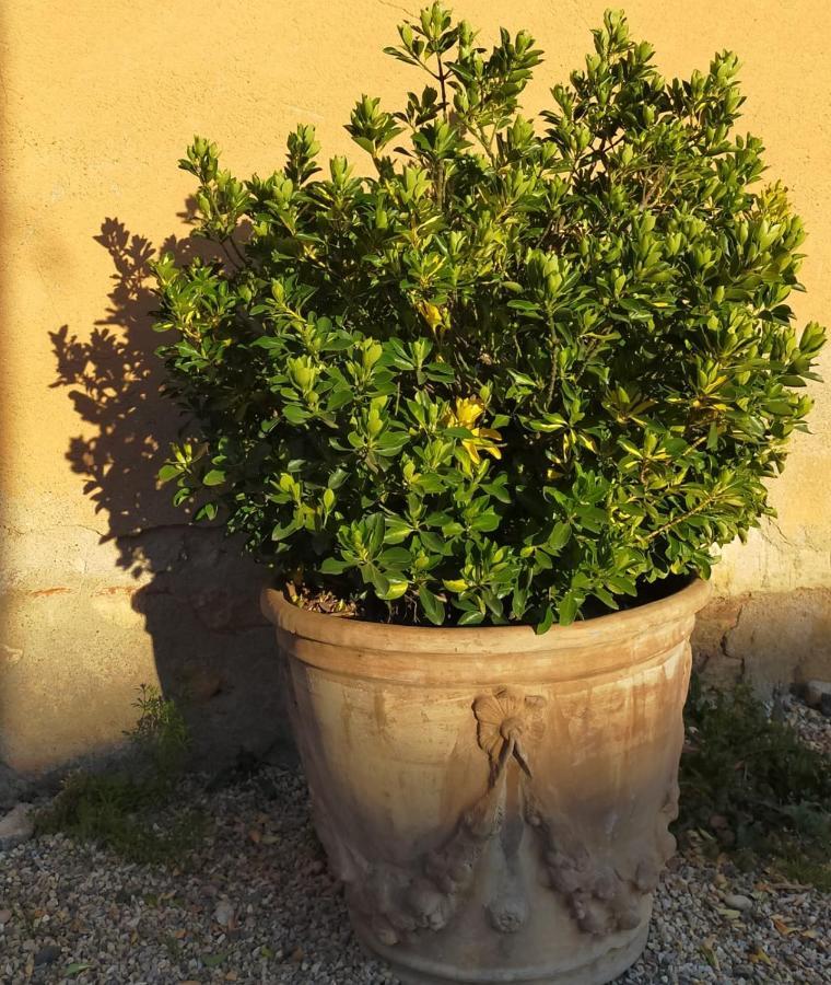 Chateau De La Venerie Denice Bagian luar foto