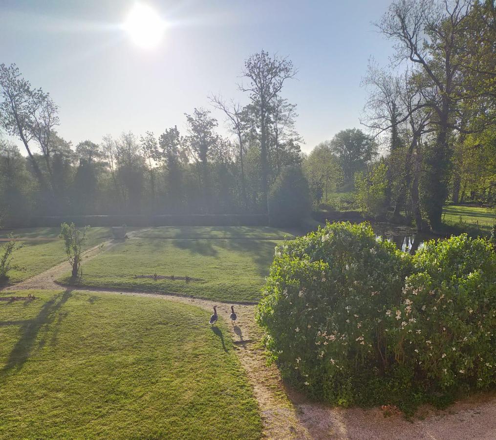 Chateau De La Venerie Denice Bagian luar foto