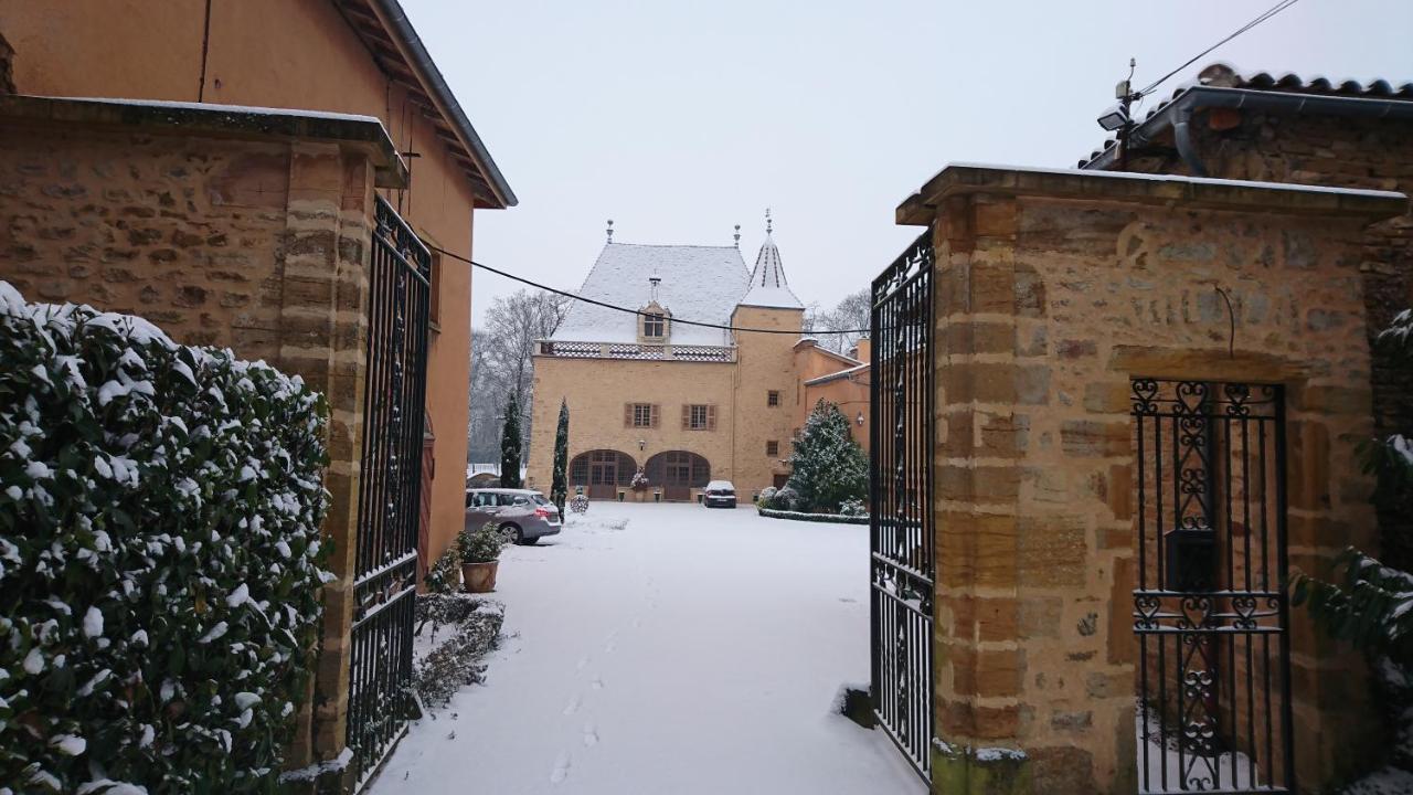 Chateau De La Venerie Denice Bagian luar foto