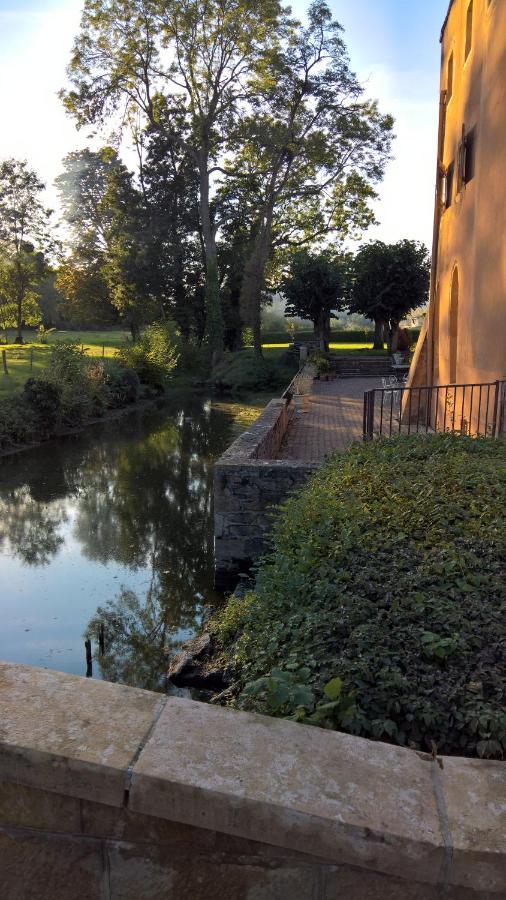 Chateau De La Venerie Denice Bagian luar foto