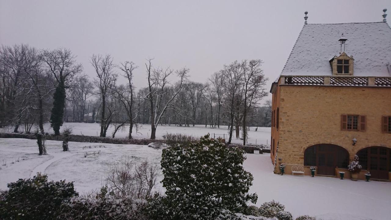 Chateau De La Venerie Denice Bagian luar foto